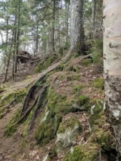 Mont Adstock hike - nature and outdoors