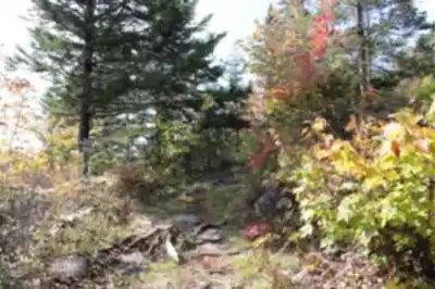 Hiking view of Mont Adstock