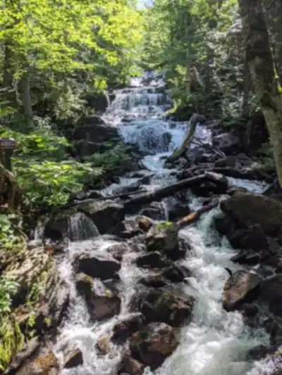 Explore Sentier Écologique « Le Petit Castor » trail