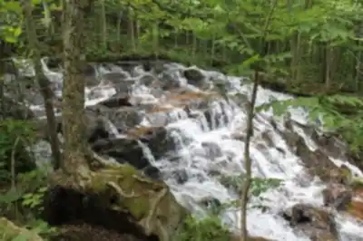 Sentier Écologique « Le Petit Castor » scenery - hiking