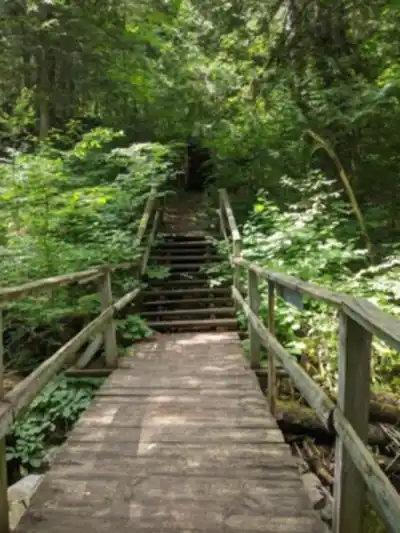 On the trails of Sentier Écologique « Le Petit Castor »