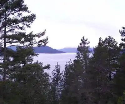 Whytecliff Park | West Vancouver hiking trail - natural landscape