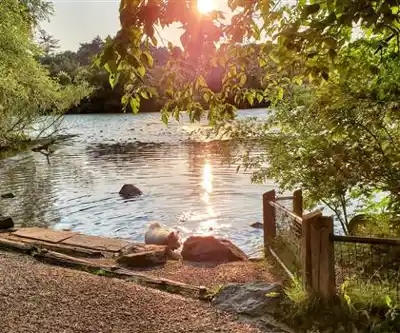 Little Fresh Pond Dog Beach hiking trail - natural landscape