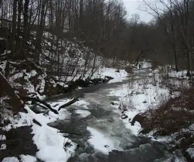 Carpenter Falls hiking trail - natural landscape
