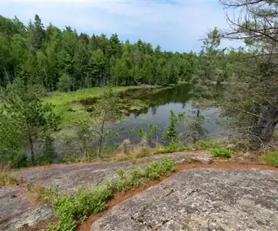 Hiking view of Petroglyphs Provincial Park