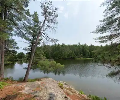 Petroglyphs Provincial Park hiking trail - natural landscape