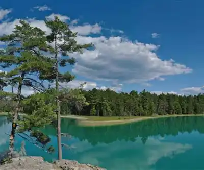 Discover Petroglyphs Provincial Park in Kawarthas Northumberland