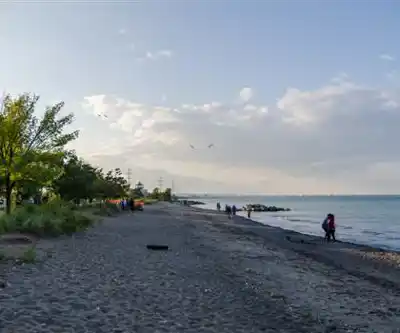 Confederation Beach Park hiking trail - natural landscape