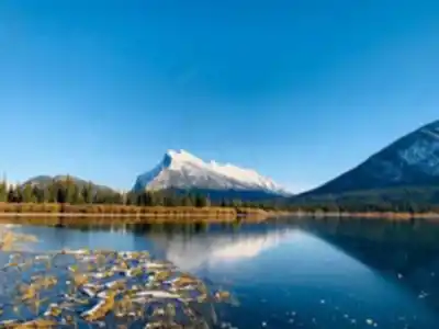Vermilion Lakes hiking trail - natural landscape