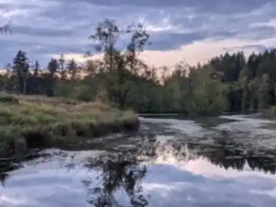 Randonnée Campbell Valley Regional Park - nature et plein air
