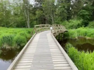 Découvrir Campbell Valley Regional Park en Montagnes Côtières de Vancouver