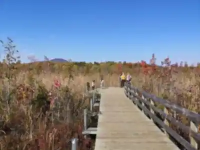 Discover Marais de la Rivière aux Cerises in Eastern Townships
