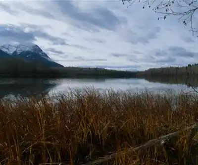 Ross Lake Park hiking trail - natural landscape