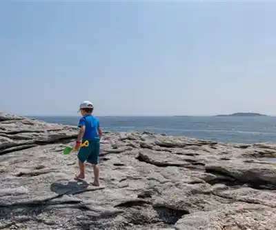 Morse Mountain to Seawall Beach hiking trail - natural landscape