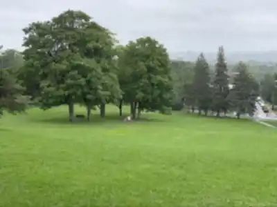 King George Park hiking trail - natural landscape