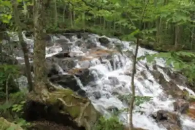 Découvrir Sentier Écologique « Le Petit Castor » en Laurentides