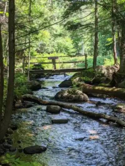 Vue en randonnée de Sentier Écologique « Le Petit Castor »