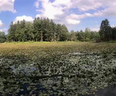Stiglmeier Park hiking trail - natural landscape