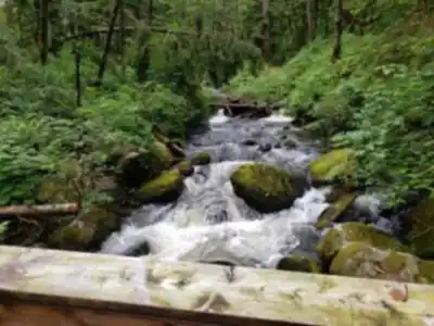 Hiking view of Steelhead Falls
