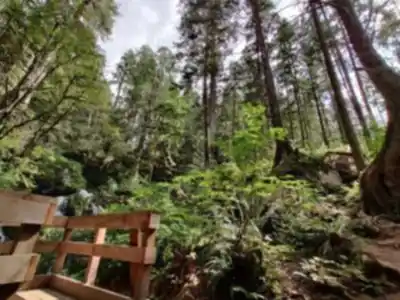 Steelhead Falls hike - nature and outdoors