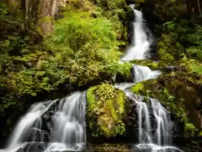 Steelhead Falls hiking trail - natural landscape
