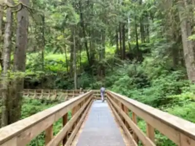 Discover Steelhead Falls in Vancouver Coast Mountains