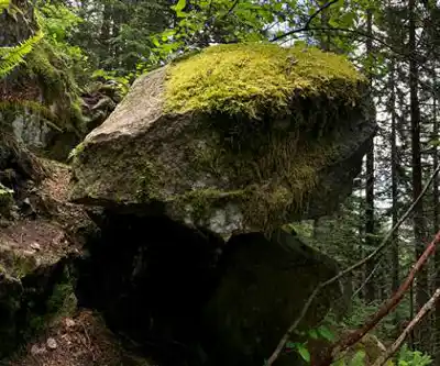 Randonnée The North Shore - Eagle Bluffs - nature et plein air