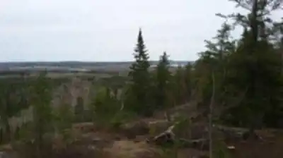 Explore Sentier Pédestre Du Mont Bell trail
