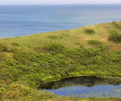 Sentier de randonnée Cape Cod National Seashore - paysage naturel