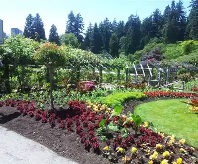 Sentier de randonnée Stanley Park Rose Garden - paysage naturel