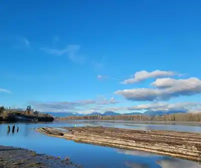 Brae Island Regional Park hiking trail - natural landscape