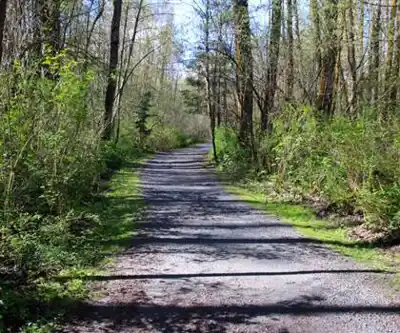 Hiking view of Brae Island Regional Park
