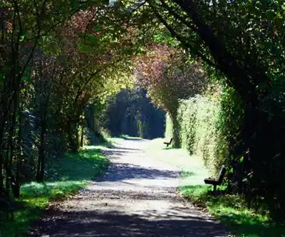 Discover Brae Island Regional Park in Vancouver Coast Mountains