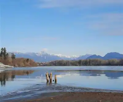 Brae Island Regional Park hike - nature and outdoors