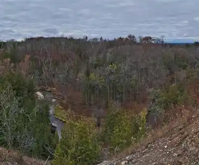 Greenwood Conservation Area hiking trail - natural landscape