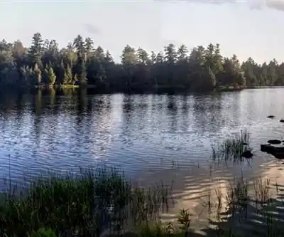 Sentier de randonnée Murphys Point Provincial Park - paysage naturel