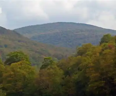 Balsam Lake Mountain Wild Forest hiking trail - natural landscape