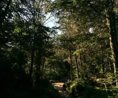 Mt Marcy Trail hiking trail - natural landscape