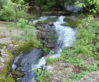 Buttermilk Falls hiking trail - natural landscape