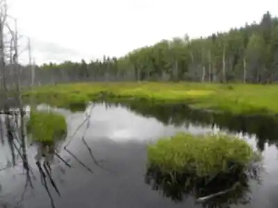 Parcs Ruraux Rapide Danseur hiking trail - natural landscape