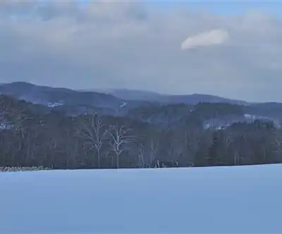 Putney Mountain hiking trail - natural landscape