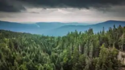 Discover Sentier Du Moulin in Québec City Region