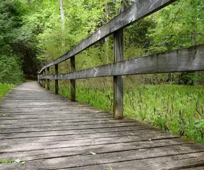 Sentier de randonnée Robert Edmondson Conservation Area - paysage naturel