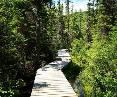 Explorer le sentier Parc national des Hautes-Gorges-de-la-Rivière-Malbaie