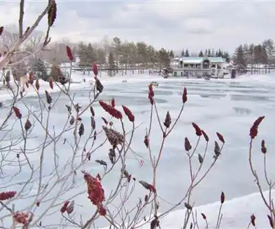 Centre De La Nature De Laval hike - nature and outdoors