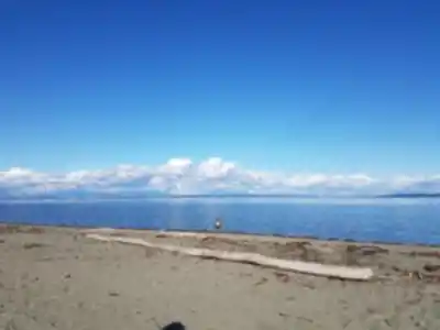 Centennial Beach hiking trail - natural landscape