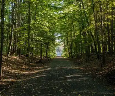 Sentier de randonnée Ashokan Rail Trail - paysage naturel