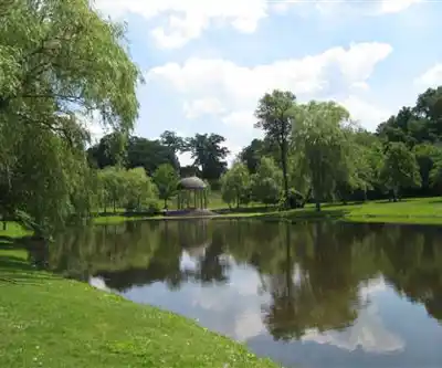 Larz Anderson Park hiking trail - natural landscape