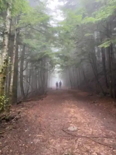 Tunnel Bluffs hike - nature and outdoors