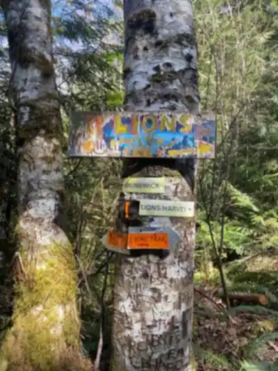 On the trails of Tunnel Bluffs